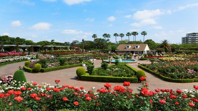 習志野市：街並み