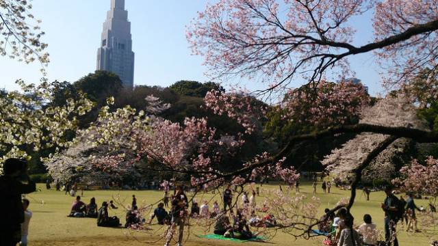 新宿区：街並み