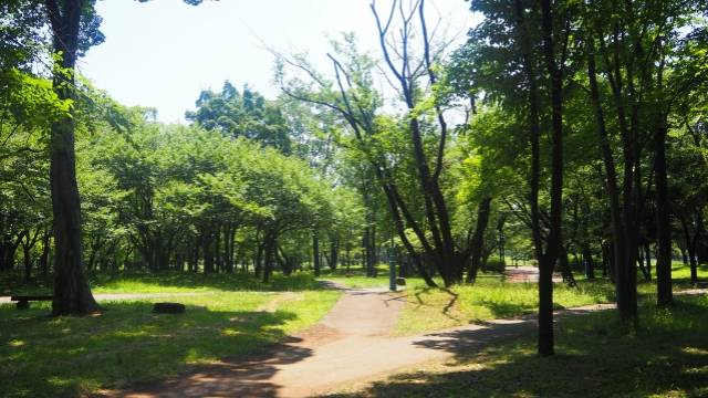 彩の森入間公園